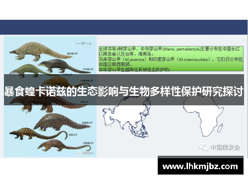 暴食蝗卡诺兹的生态影响与生物多样性保护研究探讨